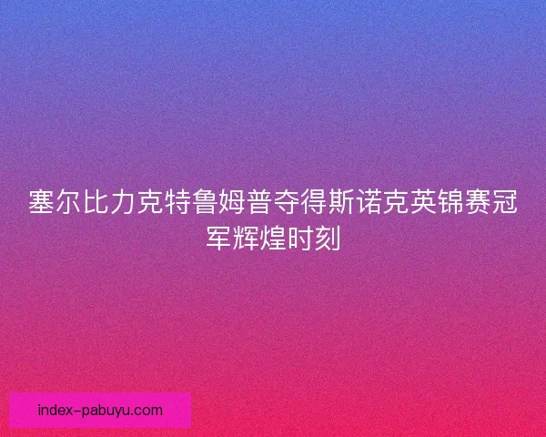 塞尔比力克特鲁姆普夺得斯诺克英锦赛冠军辉煌时刻