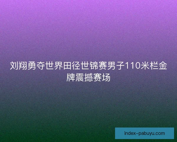 刘翔勇夺世界田径世锦赛男子110米栏金牌震撼赛场 刘翔勇夺世界田径世锦赛男子110米栏金牌震撼赛场