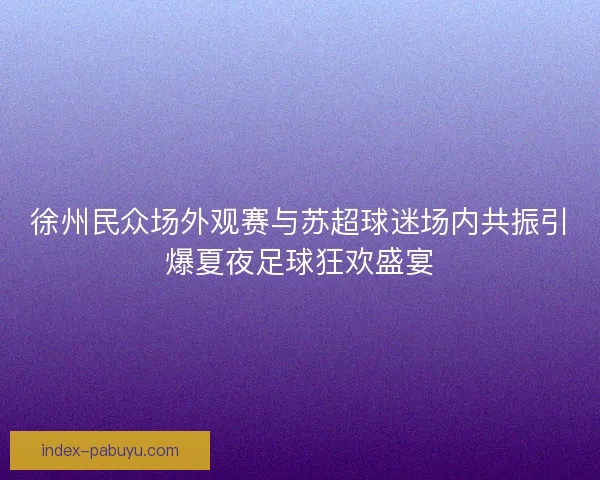 徐州民众场外观赛与苏超球迷场内共振引爆夏夜足球狂欢盛宴